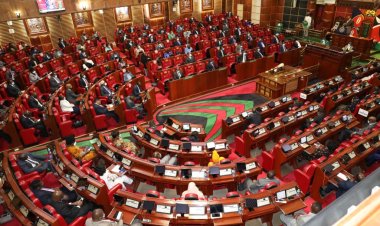 List Of Winners In 2022 National Assembly Race