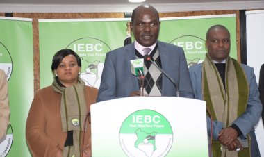 How To Check and Confirm Presidential Results LIVE Per Constituency