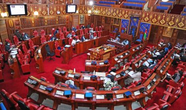 2022 Elections: List Of Elected Senators