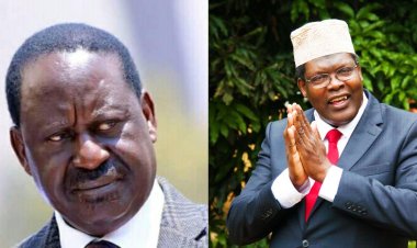 Miguna Miguna Urges Raila To Concede To Ruto