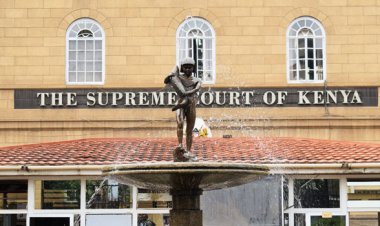 How Much It Costs To File Presidential Petition At Supreme Court