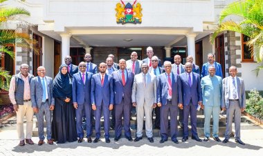 Kenya Kwanza Picks UDM In Statement Azimio Raid