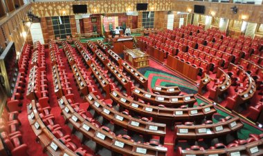 How Much MPs-Elect Will Earn In 13th Parliament