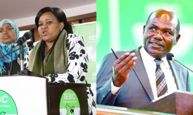 Cherera's 74-Section Affidavit: How Chebukati Acted Illegally