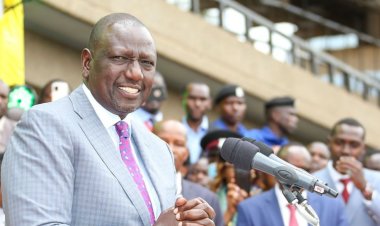 Supreme Court: Ruto's New Demands Against LSK, IEBC Commissioners, Cherera