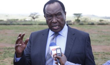 UDA Candidate Upsets Raymond Moi In Rongai MP Race