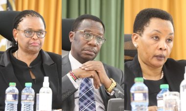 15 Common Latin Words By Lawyers And What They Mean