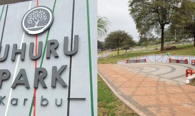 NMS To Commission Uhuru Park Before Ruto's Swearing In