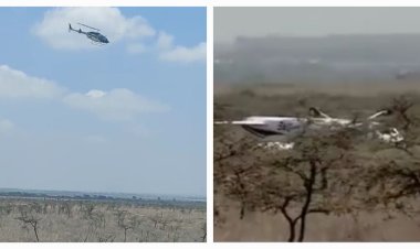 4 Survive Plane Crash At Nairobi National Park [VIDEO]