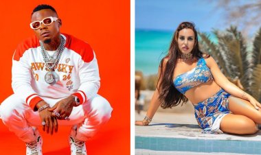 Sarah Michelotti Begins Plans To Get Harmonize's Wealth