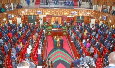 Parliament Revives Bill To Increase Ex-MP's Pension By 3 Times