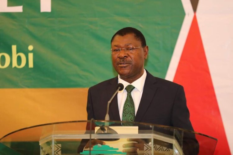 No One Will Touch Your Car Allowances, Mortgages- Wetangula To MPs