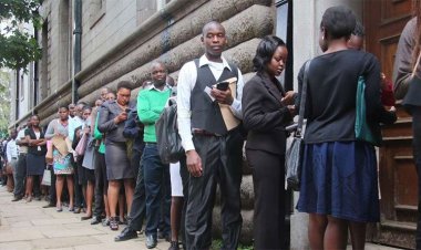How Nairobi Lawyer Triggered Age Old Debate On Kenyan Interns