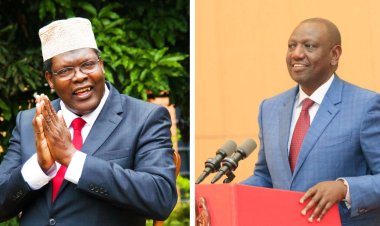 Miguna Miguna: Ruto Has Lifted Red Alerts Against Me