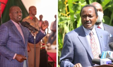 Ruto Needs Kalonzo Because He Is Worried About 2027- Dan Maanzo