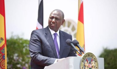 MP's Alleged Proposal Of Wife Picked By Ruto As PS Sparks Uproar