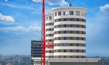 Nation Advertises Job Opportunity Amid Looming Mass Firings