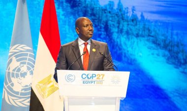 Ruto's PS Nominee Allegedly Fronted By Husband MP Withdraws