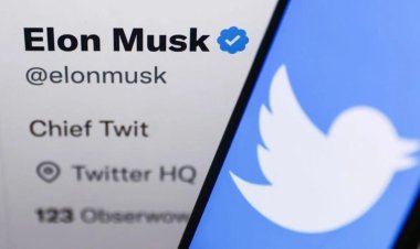 Why There's A Grey Tick Alongside A Blue Tick On Twitter Accounts