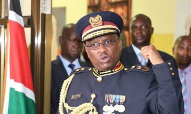 New Police IG Orders Cops To Use Guns On Nairobi Thugs