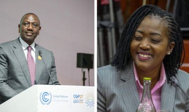 Ruto Orders CS Tuya To Probe Uprooting Of Kilifi Baobab Trees