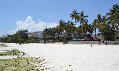 Suspects Panic, Throw Two Stolen Phones Away During Mombasa Chase