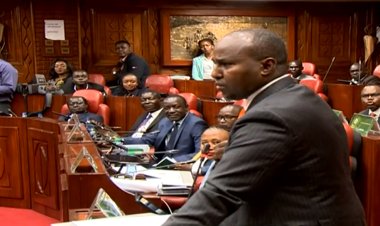 Azimio MPs, Cherera Four Lawyers Walk Out Of Proceedings