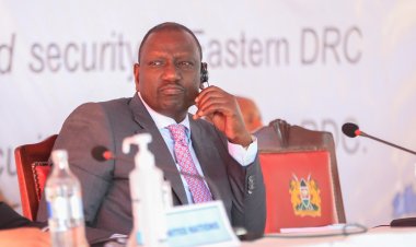 Cost Of Unga, Judges: Ruto's First 100 Days As President