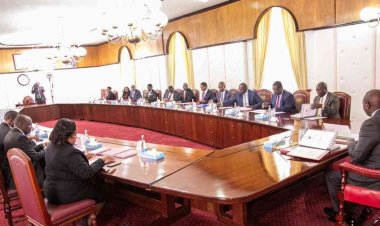Govt Allows Importation Of Maize