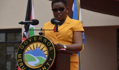 List Of 11-Member Senate Committee To Decide On Mwangaza's Impeachment