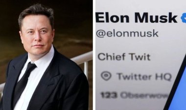 Elon Musk Under Pressure To Quit Twitter