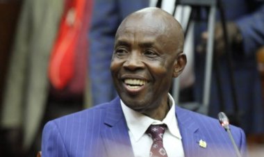 How To Check KCPE 2022 Results Online & Via SMS