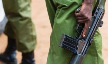 Top Cop Opens Fire After Fleeing With Woman's Handbag On Date Night 