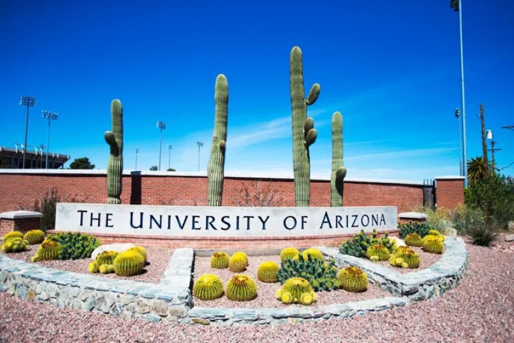 University Of Arizona: US University Where Kardashian Sister Studied