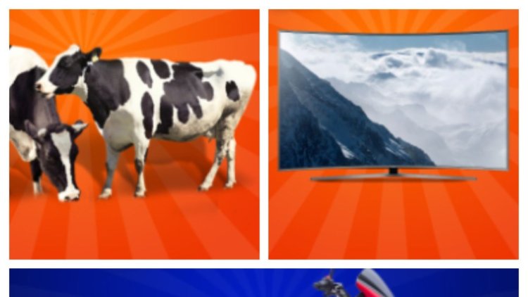 How Ksh20 Can Win You TV, Nduthi or Cow on Bids Safi