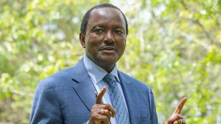 Watermelon Is Behind Me, I'm Different- Kalonzo