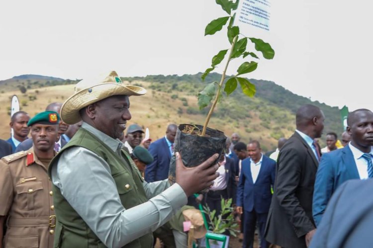 Kisii Residents Contribute To Ruto's 15 Billion Trees Campaign