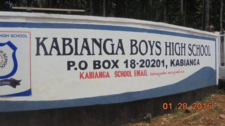 Kabianga High: Most-Preferred School Where Citizen TV Anchor Attended