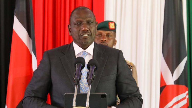 Profiles Of 4 Individuals Ruto Named To Hustler Fund Board