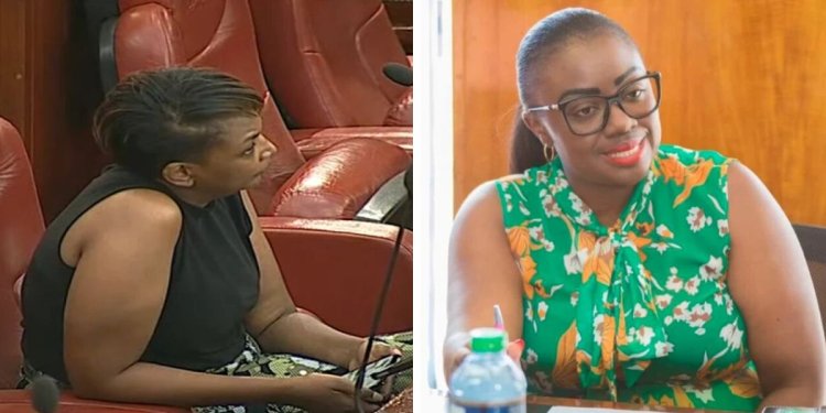 Karen Nyamu, Orwoba Kicked Out Of Senate Over Indecent Dressing