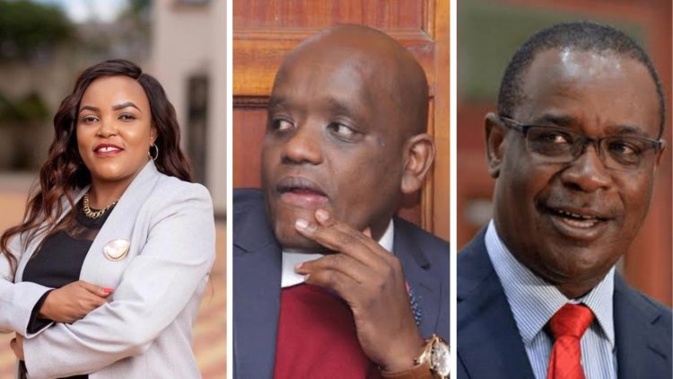 Kidero, Itumbi, Ngirici Lead Surprise Names of 224 Shortlisted For CAS Jobs