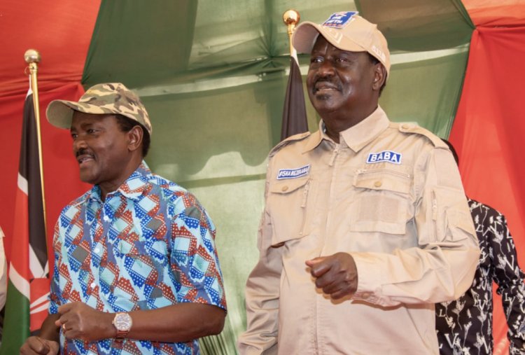 Kenyans Are Funding Monday Protests- Raila
