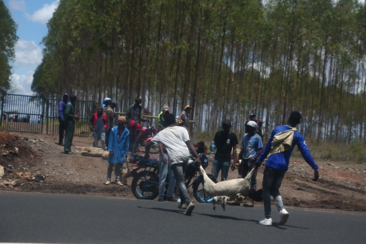Kenyatta Northland Invasion: Ngunjiri Wambugu Warns Of Rise Of Private Militias