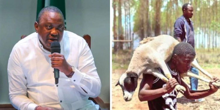 Tricks Goons Invading Uhuru's Northlands Farm Used In Returning Ksh900K Sheep