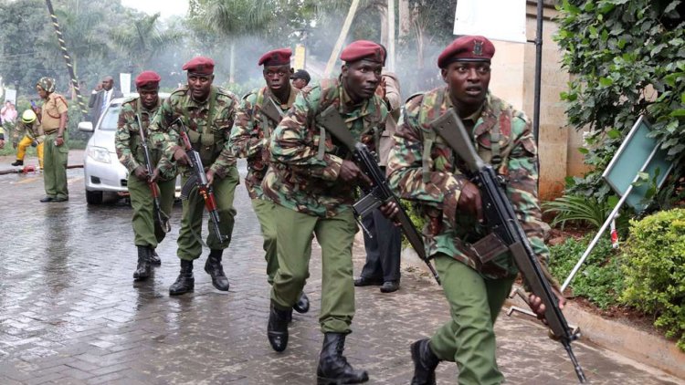 Revealed: Why Gunshots Were Heard In Nairobi [VIDEO]