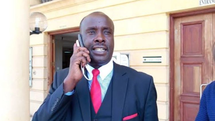 Danstan Omari: How Fighting For Ruto In Court Transformed His Career