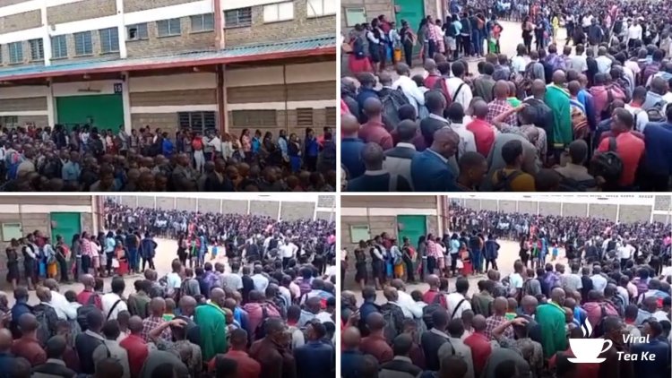 Thousands In Nairobi Show Up For Interviews To Fill 150 Job Vacancies [VIDEO]