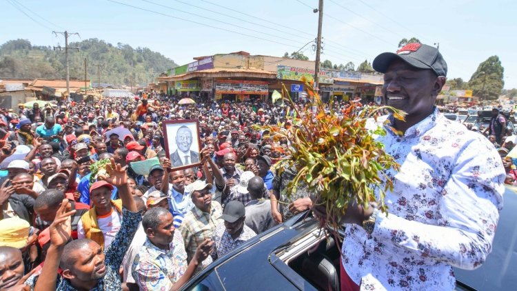 Miraa Levy: Ruto Introduces New Tax Starting July 1