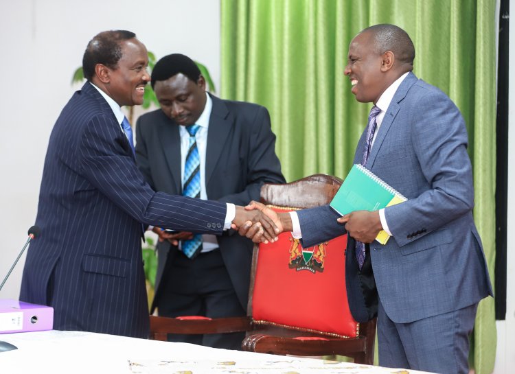 6 Responsibilities Kalonzo Assigned Azimio After First Meeting With Ichung'wah