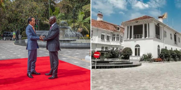 VISUALISED: Ruto Upgrades State House Cabros Again